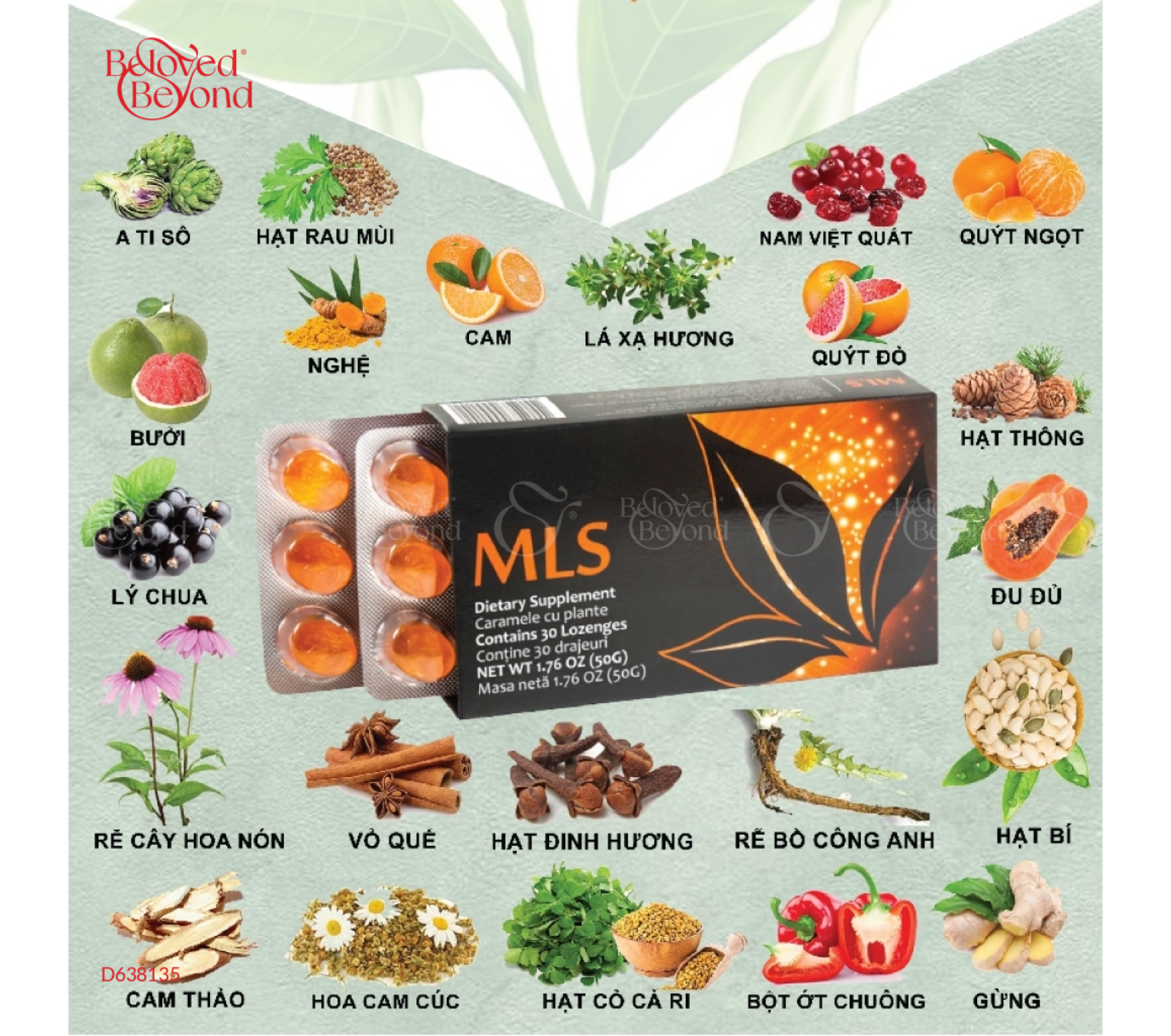 Kẹo Ngậm MLS Vị Cam – Phục Hồi Tiêu Hóa APLGO