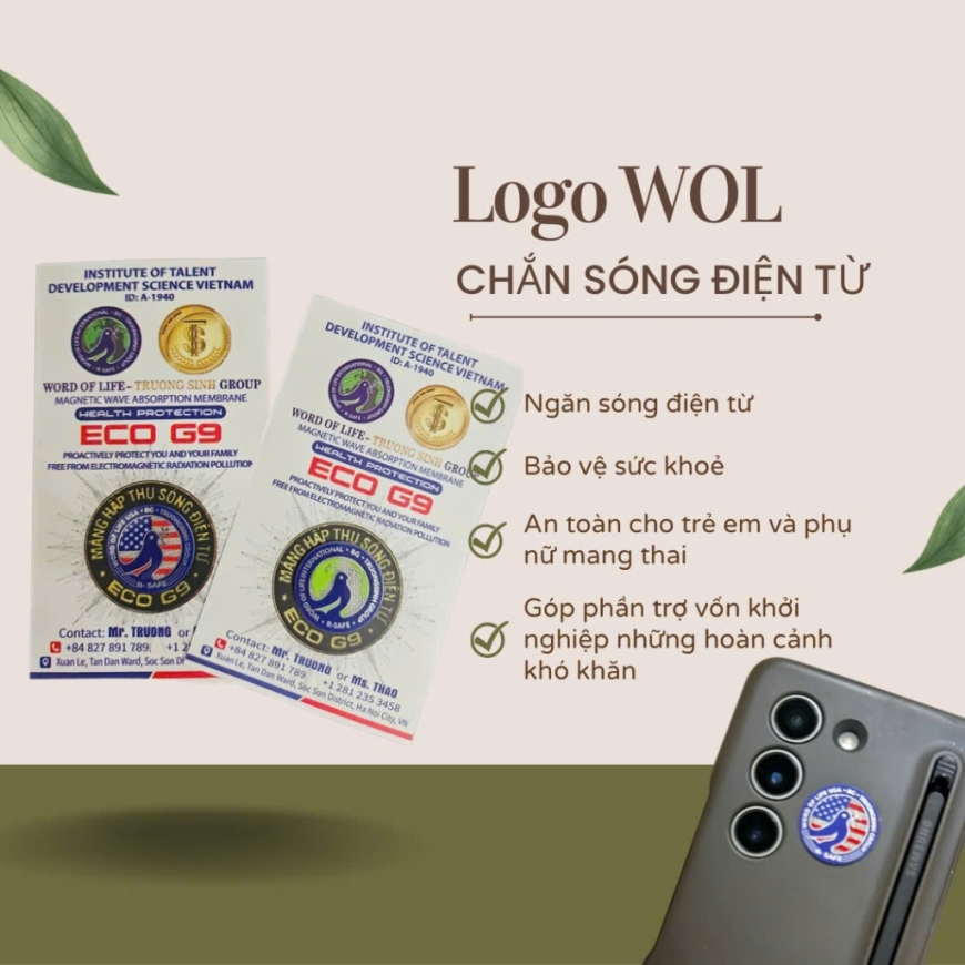 MÀNG HẤP THỤ SÓNG ĐIỆN TỪ